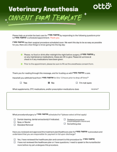 Preview of the Anesthesia Consent Form Template