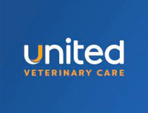 UVC Animal Hospitals Strengthen Patient-Clinic Bond with Easily Accessible Otto Care