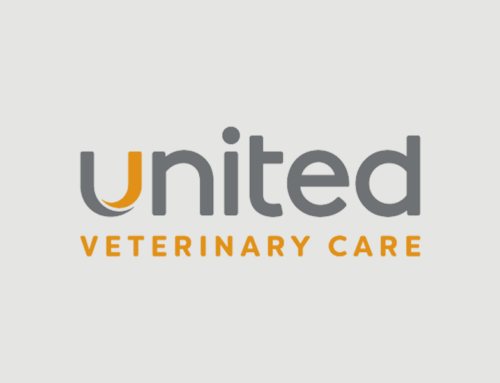 UVC Animal Hospitals Strengthen Patient-Clinic Bond with Easily Accessible Otto Care