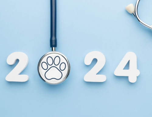2024 New Year’s Resolutions for Vet Clinics