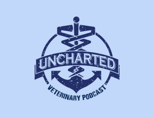 Embracing Wellness Plan Flexibility: Insights from Shawna Castillo on the Uncharted Podcast