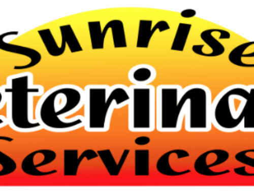 How Care Memberships Have Revolutionized Sunrise Veterinary Services