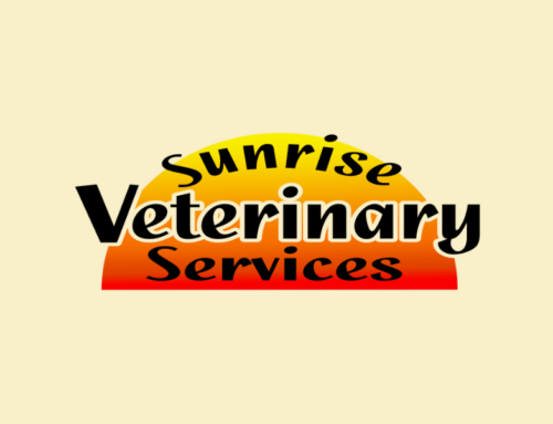 How Care Memberships Have Revolutionized Sunrise Veterinary Services