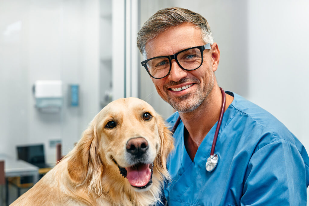 Animals for examination and treatment in the veterinary clinic