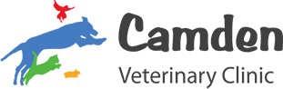 camden-veterinary-clinic-st-marys-ga