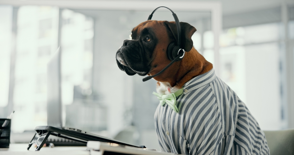 Dog,,Agent,And,Call,Center,With,Headset,For,Pet,Care,