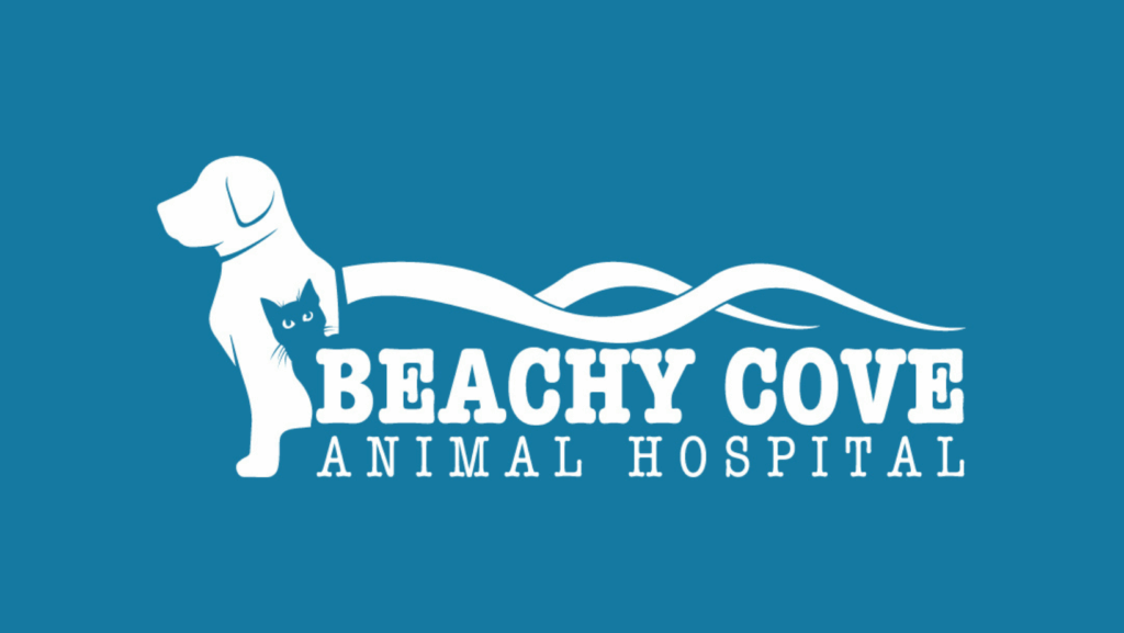 Beachy Cove Vet Image of 5 Technology-Powered Efficiencies