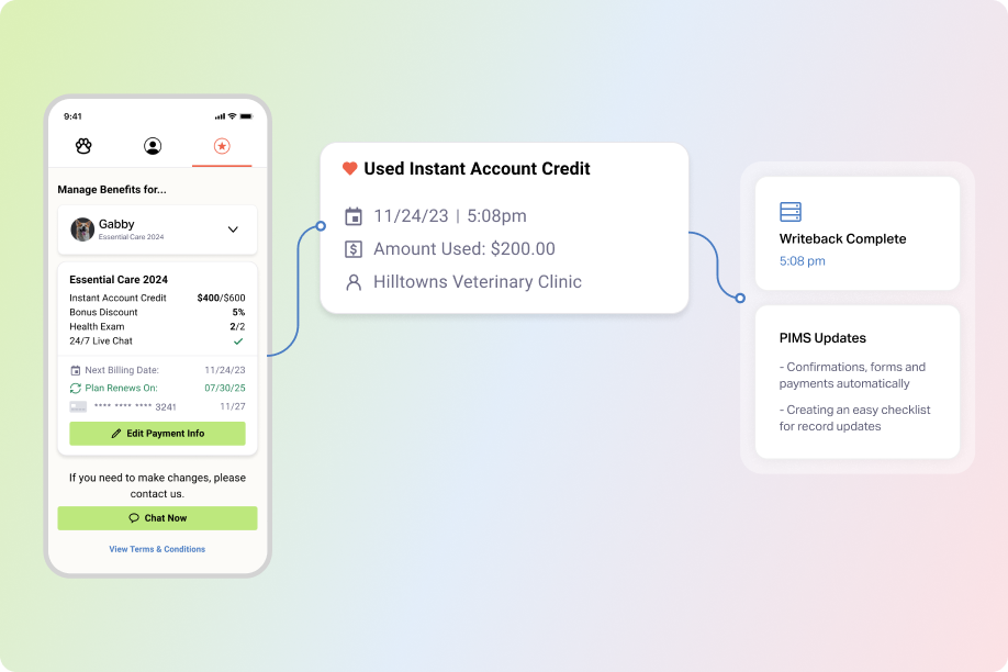 Instant Account Credit Diagram