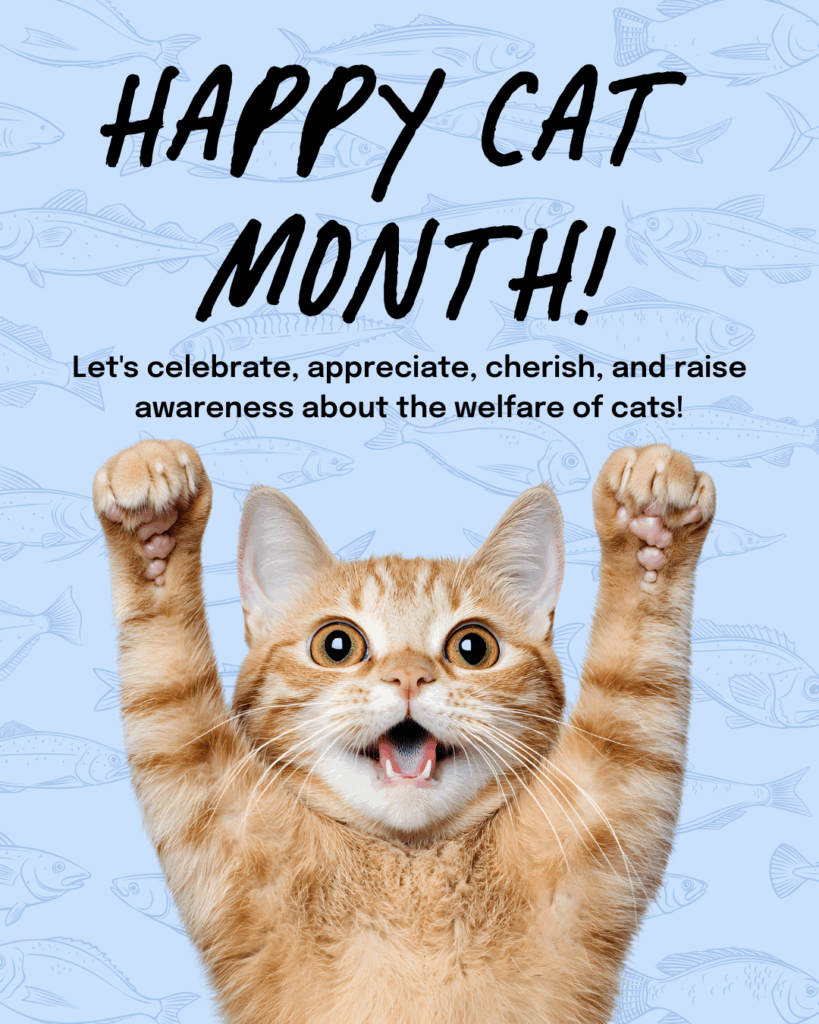 Hapy Cat Month Image of 5 Technology-Powered Efficiencies