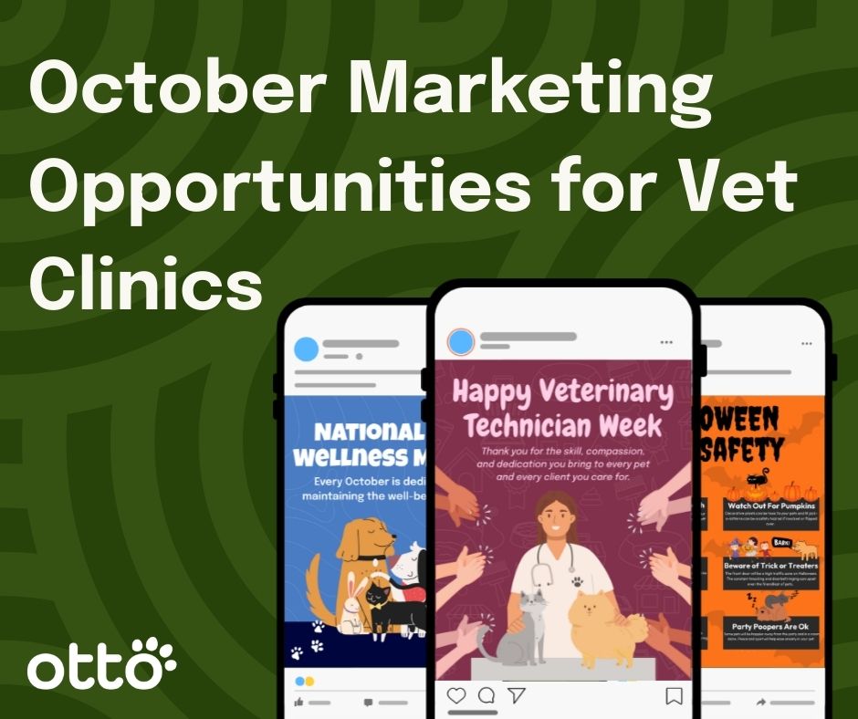 Marketing Opportunities Vet Clinics Image of 5 Technology-Powered Efficiencies