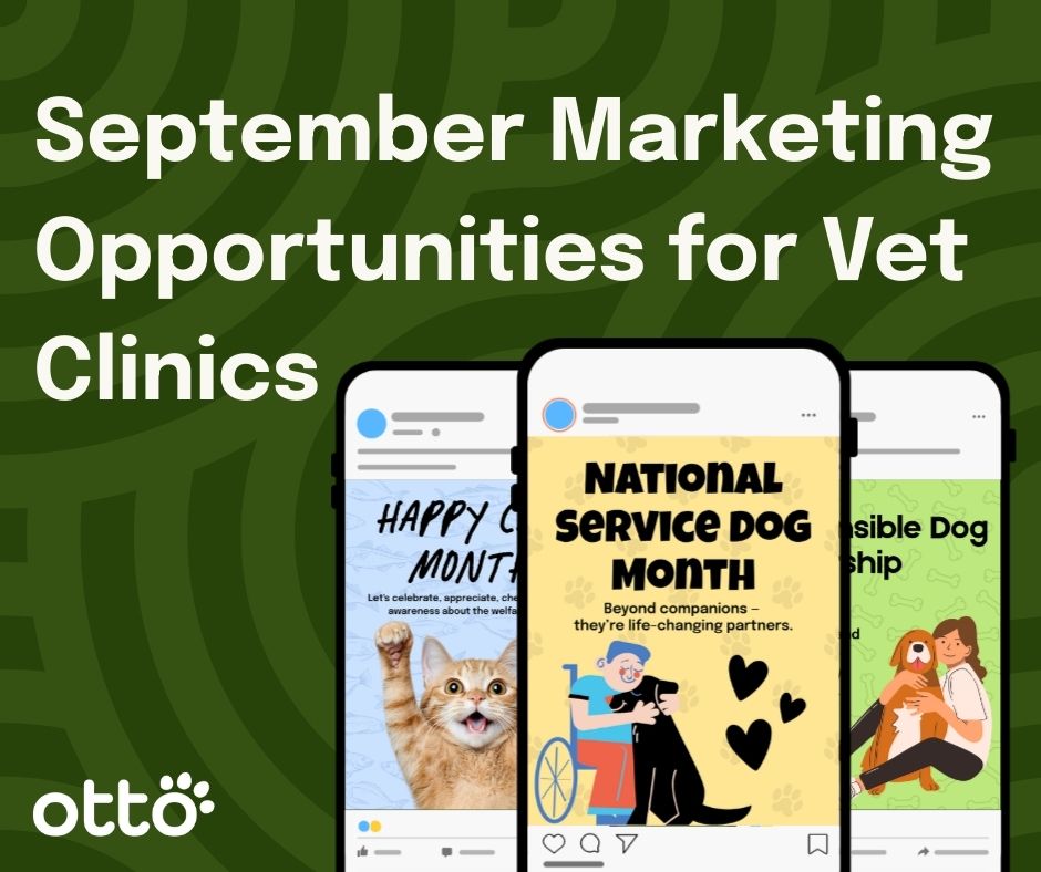 September Marketing Opportunities Vet Clinics Image of 5 Technology-Powered Efficiencies