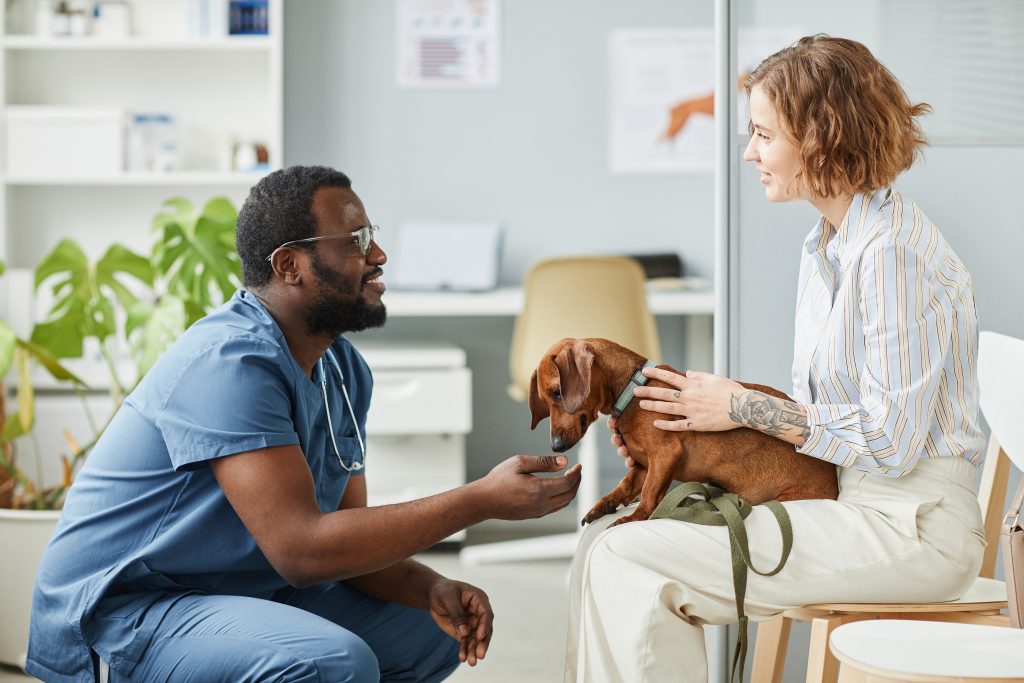 Image of veterinary retention and recruitment
