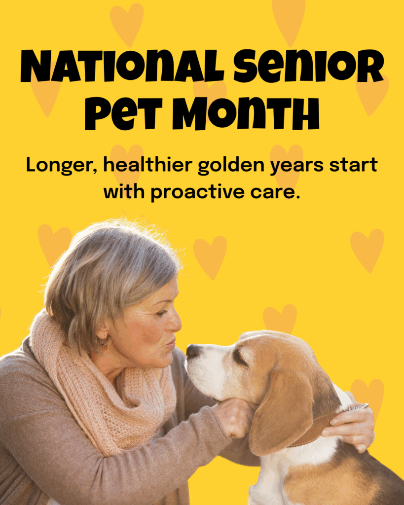 Image of 5 Technology-Powered Efficiencies