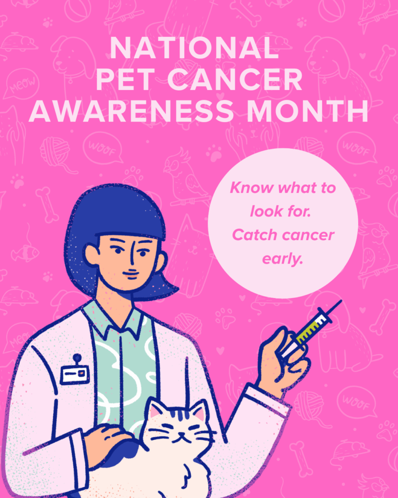 Image of 5 Technology-Powered Efficiencies