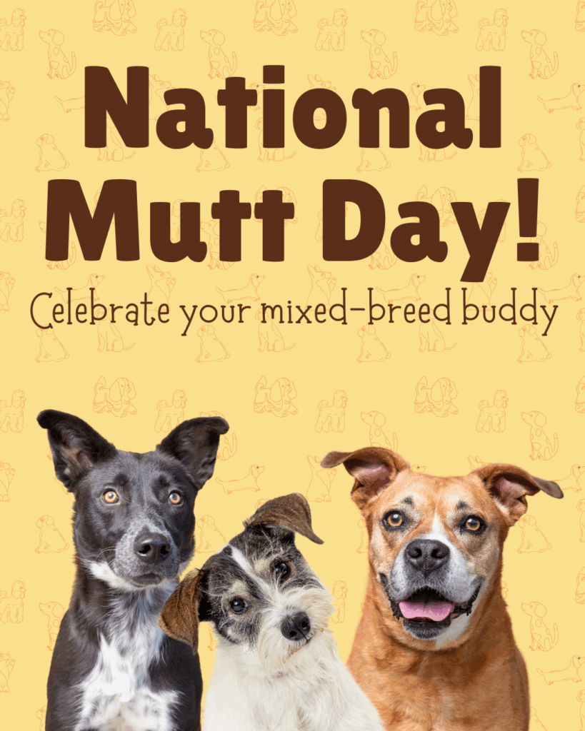 2 Image of 5 Technology-Powered Efficiencies