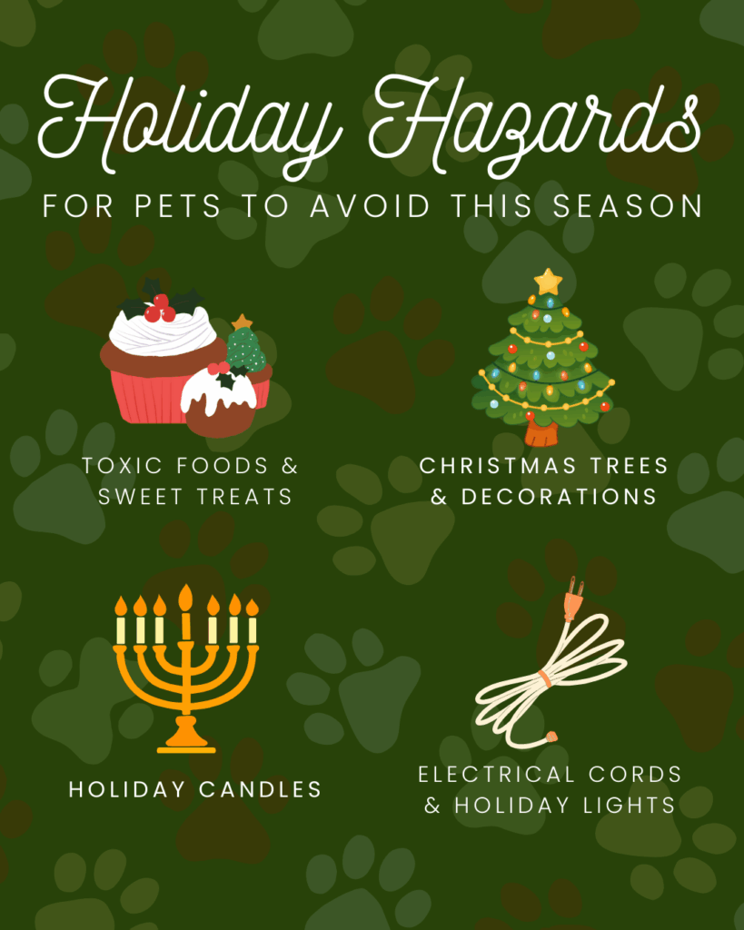 5 Image of 5 Technology-Powered Efficiencies