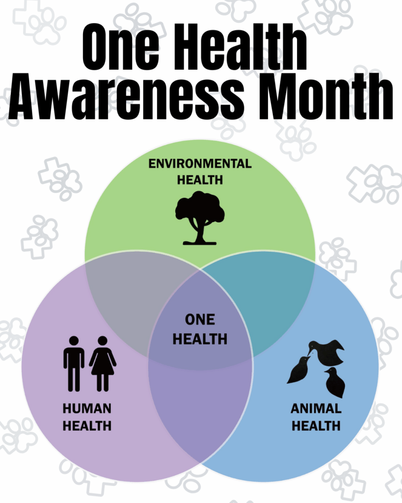 3 Image of 5 Technology-Powered Efficiencies