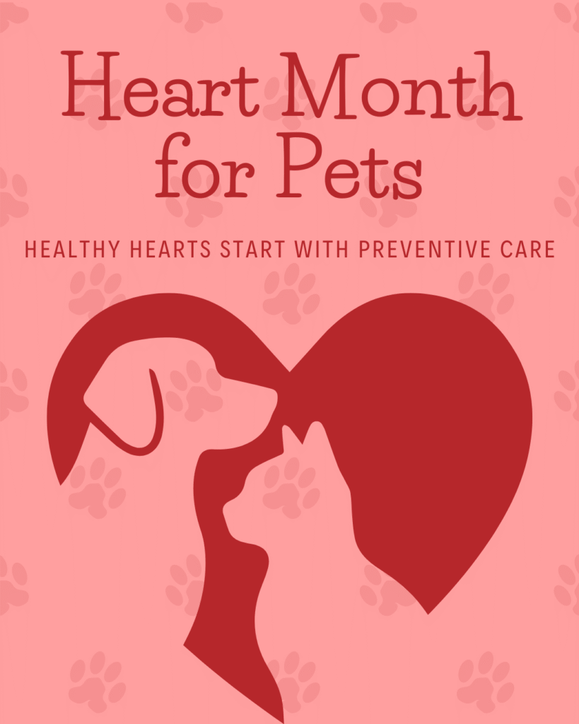 February Marketing Pack Image of 5 Technology-Powered Efficiencies