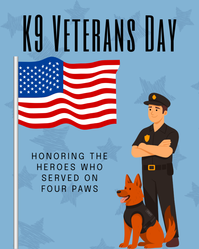 Image of 5 Technology-Powered Efficiencies