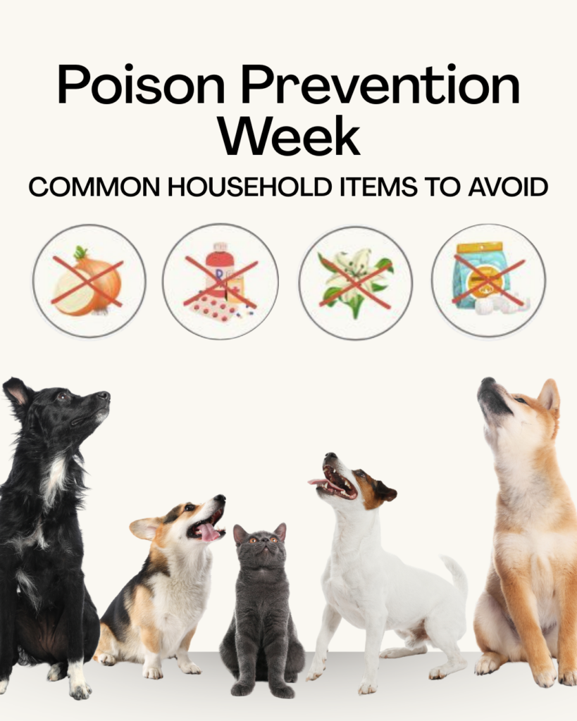 2 Image of 5 Technology-Powered Efficiencies