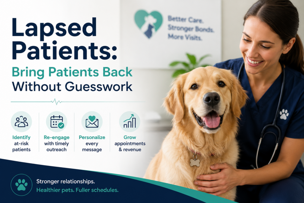 ChatGPT Image Jun 8, 2026 at 12_49_38 PM Image of lapsed patients in vet clinic
